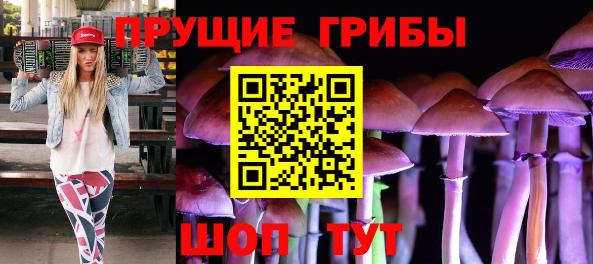 Псилоцибиновые грибы Psilocybine cubensis  Галлюциногенные грибы GOLDEN TEACHER  Вход с VPN  купить закладку  Черняховск 